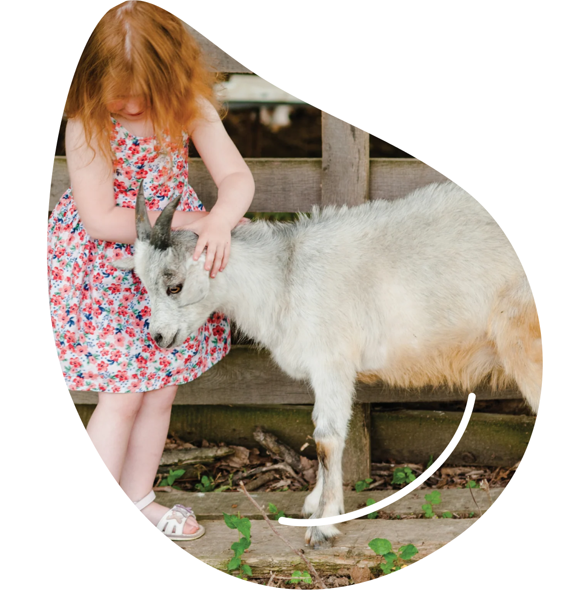 Child petting goat